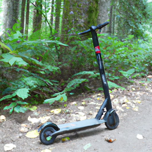 Are There Any Restrictions On Using Electric Scooters In National ...